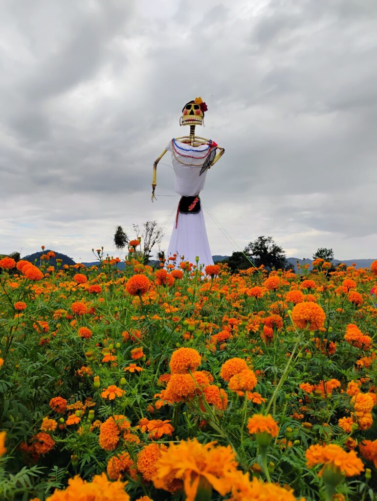 San Pablo Paxtepec. Veracruz. México